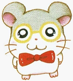 dexter hamtaro