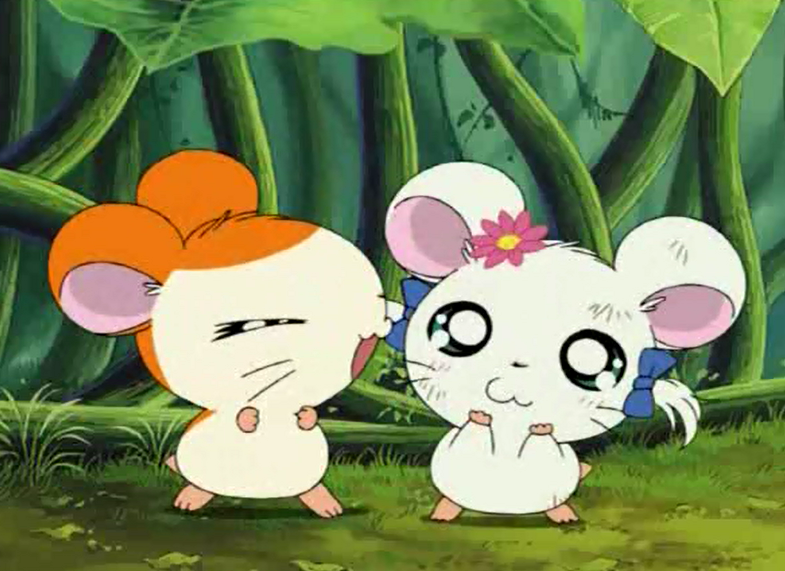 hamtaro and bijou human