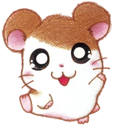 Hamtaro