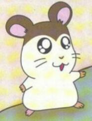 Maxwell in the book Hamtaro, Private Eye