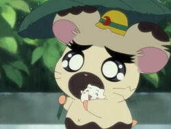 hamtaro characters boss