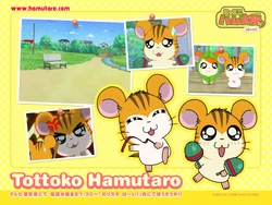 hamtaro sandy and stan