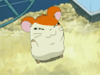 Tumblr nzhj7wUKrf1uazugyo1 500.gif