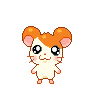Th myAvatar 17001731 1.gif