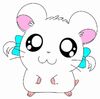 Bijou in Hamtaro Nazo Nazo Q