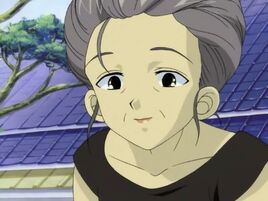 Willow haruna