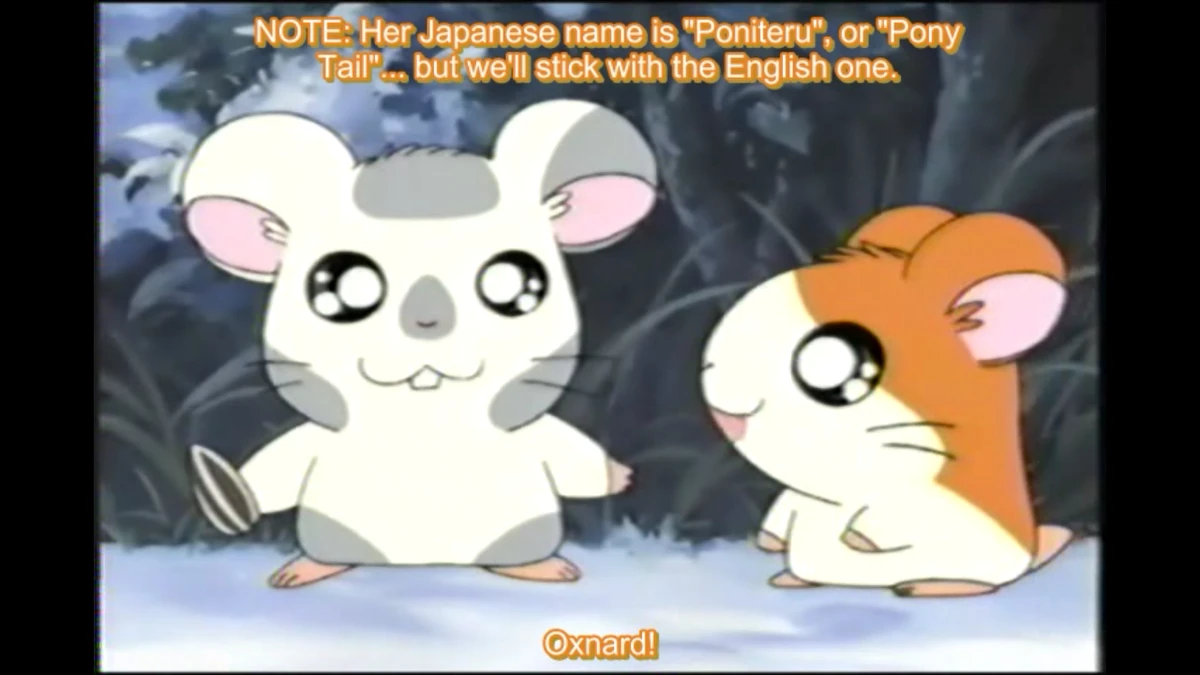 Knitting, Knitting Barrette!/Gallery | The Hamtaro Wiki | Fandom, image size:1200x675