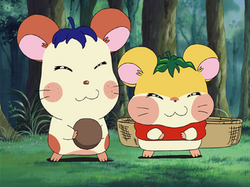 Tomy-T and Eggy-P! | The Hamtaro Wiki | Fandom