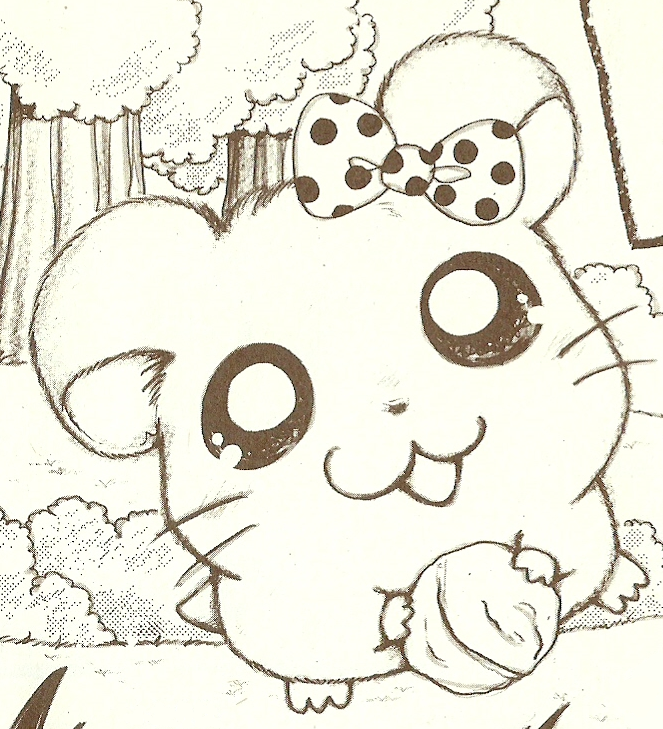 Momo | The Hamtaro Wiki | Fandom