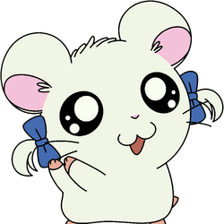 とっとこハム太郎 Wiki Fandom とっとこハム太郎 Wiki Fandom