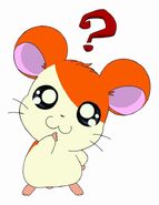 Hamtaro