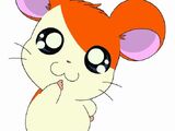 Hamtaro Nazo Nazo Q