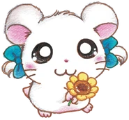 Bijou