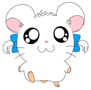Bijou
