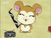 Broski in the Hi! Hamtaro spinoff series.