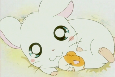 Momo | The Powerpuffgirls Z Wiki | Fandom