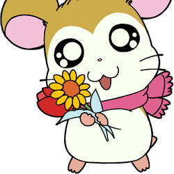 Hamtaro characters deals