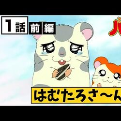Category Episodes The Hamtaro Wiki Fandom