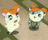 Hamtaro and Joe