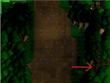 Sleepless Hollow Walkthrough
