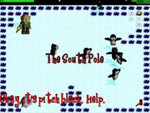 The South pole