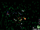 Retrovirus