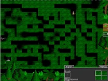 Relic Hunter Maze Temple