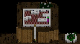 CrazyAsylumOfMadness