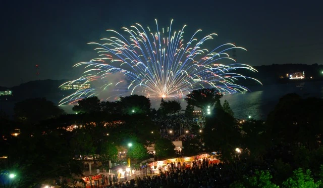 手賀沼花火大会 花火 Wiki Fandom