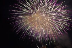 人吉花火大会 花火 Wiki Fandom 人吉花火大会 花火 Wiki Fandom