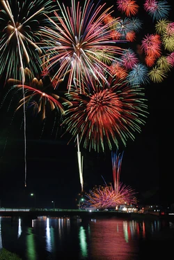 一宮町納涼花火大会 花火 Wiki Fandom