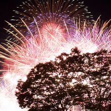 諏訪湖祭湖上花火大会 花火 Wiki Fandom 諏訪湖祭湖上花火大会 花火 Wiki Fandom
