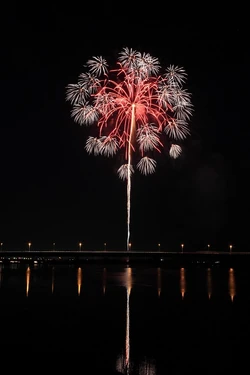 秋田市夏まつり雄物川花火大会 花火 Wiki Fandom