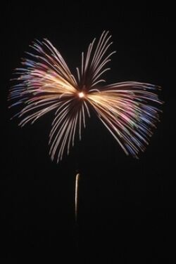 あげお花火大会 花火 Wiki Fandom あげお花火大会 花火 Wiki Fandom
