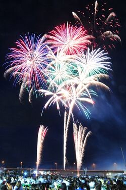 小田原酒匂川花火大会 花火 Wiki Fandom 小田原酒匂川花火大会 花火 Wiki Fandom