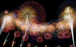 葛飾納涼花火大会 花火 Wiki Fandom 葛飾納涼花火大会 花火 Wiki Fandom
