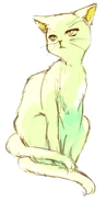 Shima