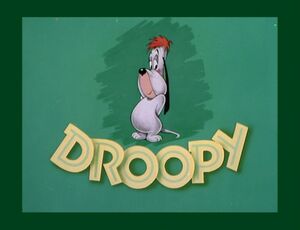 droopy dog sh