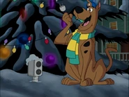 ScoobyDoo.jpg (72 KB)