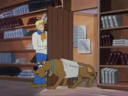 Vlcsnap-2020-03-25-13h53m37s807.png (279 KB)