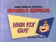HIgh Fly Guy