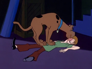 Scooby Licking Shaggy's Face