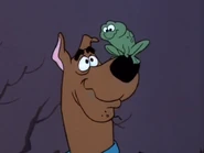 Scooby and Frog.png (181 KB)