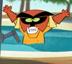 brak zorak