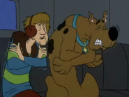 Vlcsnap-2019-12-14-13h38m24s068.png (224 KB)