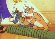 Spike and tom