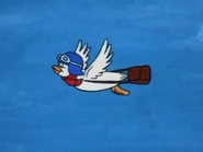 Yankee Doodle Pigeon (15)