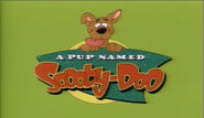 Pup-named-scooby-doo
