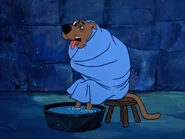 Scooby Pretending To Be Sick.png (416 KB)