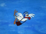 Yankee Doodle Pigeon (3)